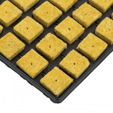 Rockwool Cube Tray for Seeds and Clones - GB