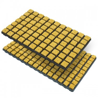 Rockwool Cube Tray for Seeds and Clones - GB