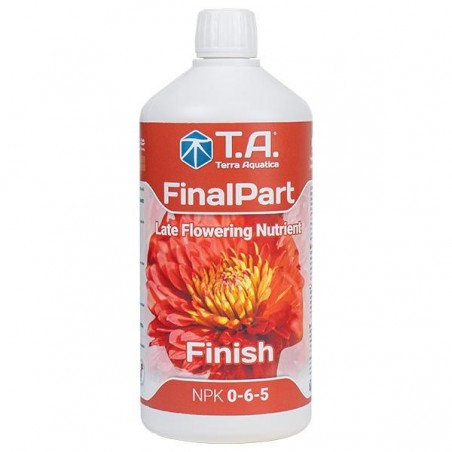 Final Part Final Part