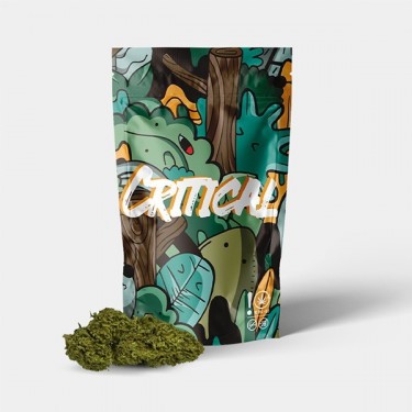 Fiori CBD GB Outdoor 'Critical +'- GB The Green Brand