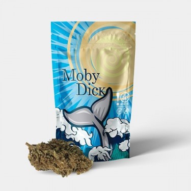 Flores CBD GB Outdoor 'Moby Dick'