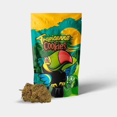Flores CBD GB Indoor 'Tropicanna Cookies'