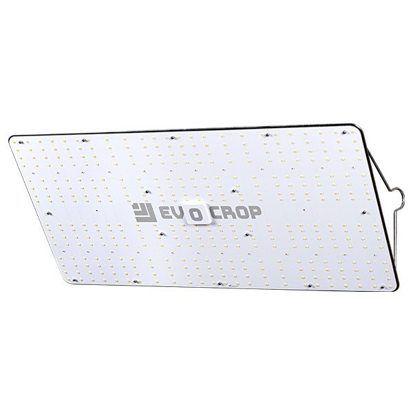 Panneau LED Wallace EVO V1 240W