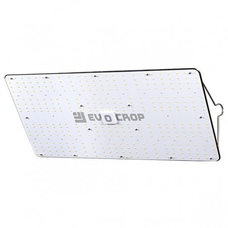 Pannello LED Wallace EVO V1 240W- GB The Green Brand
