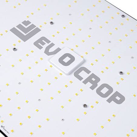 Panneau LED Wallace EVO V1 240W détails