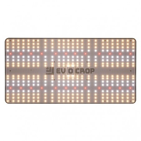 Panneau LED Wallace EVO V1 240W frontal allumé