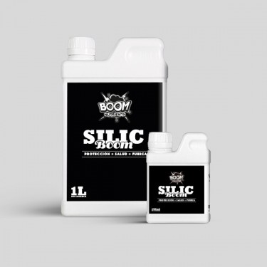 Silic Boom grupo