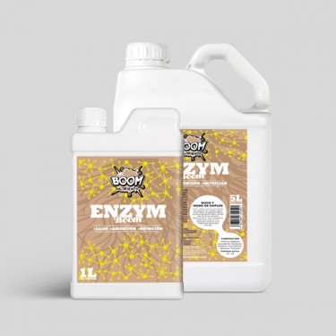 Enzym Boom grupo