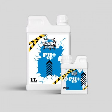 pH+ Boom grupo