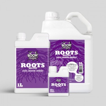 Roots Boom grupo