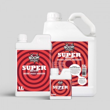 Super Boom grupo