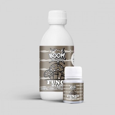 Fungi Boom grupo
