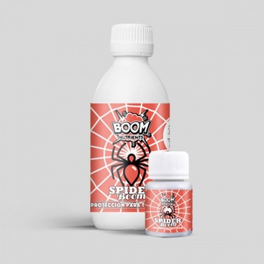 Spider Boom