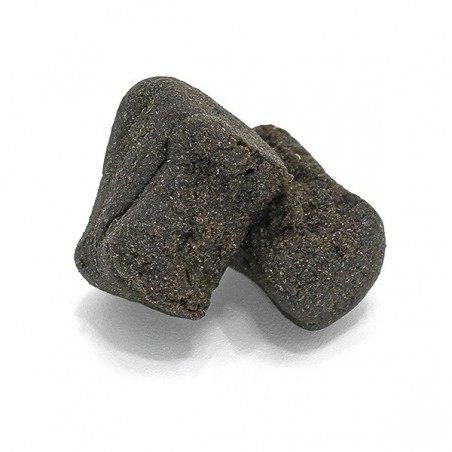 Space Cake Kit bourbouka hash