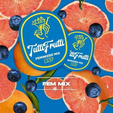 Tutti Frutti Mix Feminizadas
