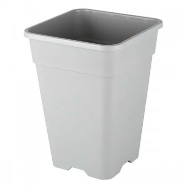 Pot Blanc