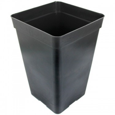 Special Black Pot for Autoflowering