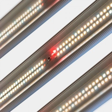 Sistema LED Regulable 600W V3.0 GB Lighting leds