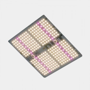Buy GB Lighting LED Panel Pro V2 150W - GB