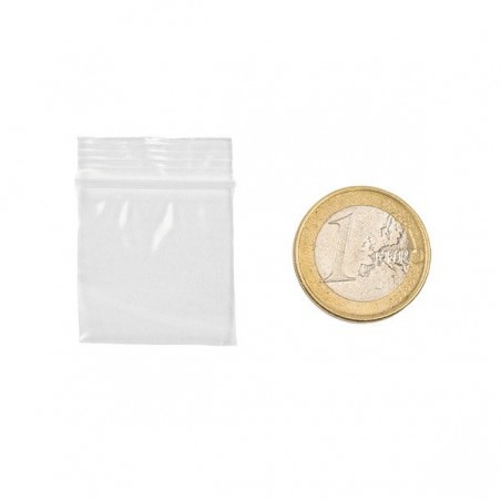 Bolsa Zip Transparente 25x25mm - GB The Green Brand