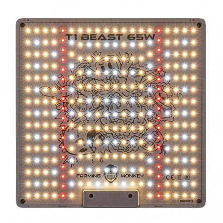 Panneau LED T1 Innotech Chip Haute Puissance 60 W - GB