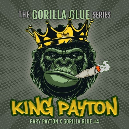 King Payton King Payton