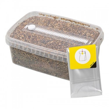 Mushroom Substrate
