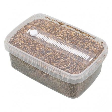 Mushroom Substrate
