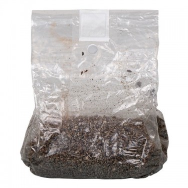 Bolsa de Cultivo para Setas