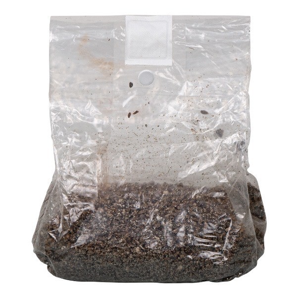 Busta di Coltivazione di Funghi- GB The Green Brand