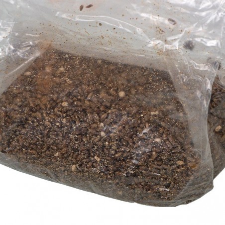 Busta di Coltivazione di Funghi- GB The Green Brand