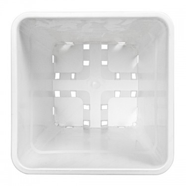 White Square Plant Pots - GB The Green Brand