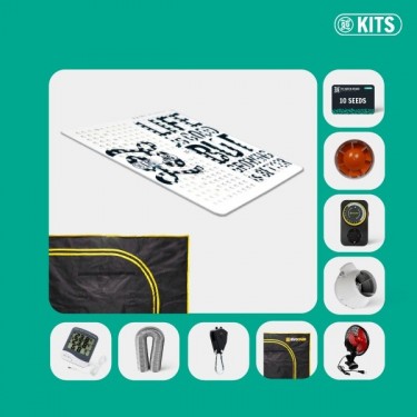 Kit Cultivo de Interior Completo Principiante