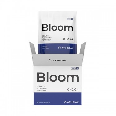 Athena Pro Bloom