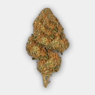 Fleurs CBD GB Indoor 'The Lemon Tree' - GB The Green Brand