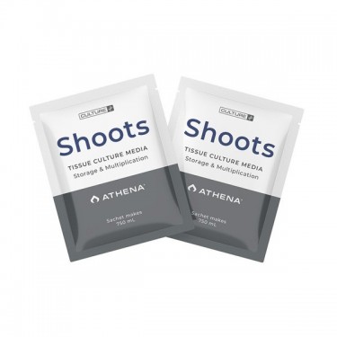 Shoots Culture Media Athena- GB The Green Brand