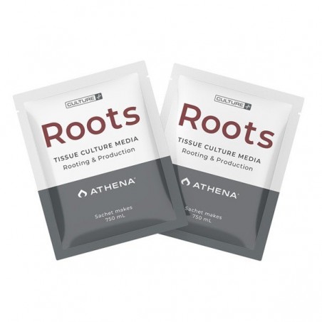 Roots Culture Media Athena per Radicare - GB The Green Brand