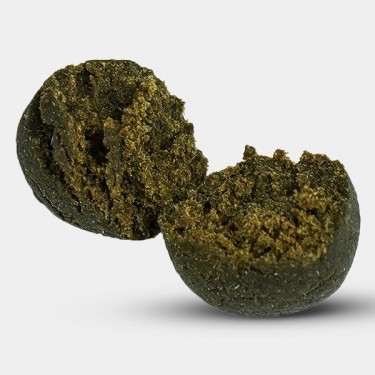 Mila x GB The Queen of Hash Charas - GB The Green Brand
