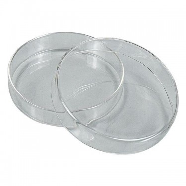 Petri Plate
