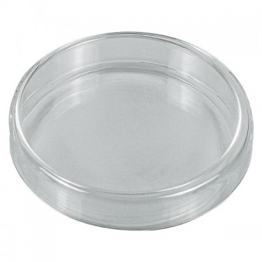 Petri Plate closed