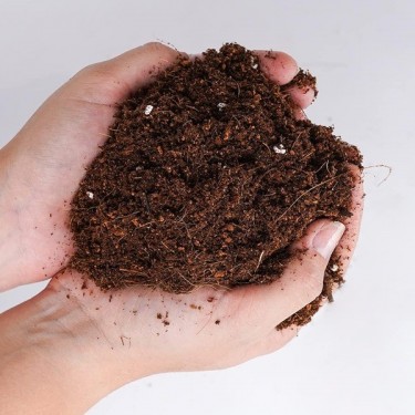 Light Mix Boom Nutrients en manos