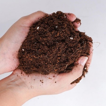 Light Mix Boom Nutrients en manos