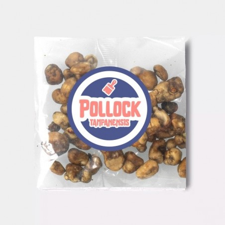Trufas Tampanensis Pollock Trufas Tampanensis Pollock