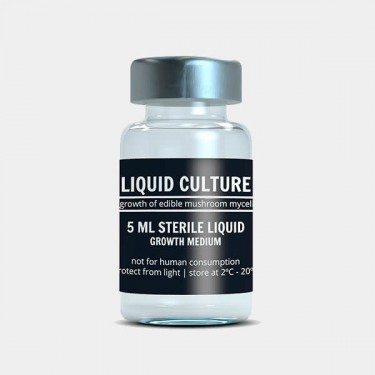 Líquido de Cultivo de Micelio