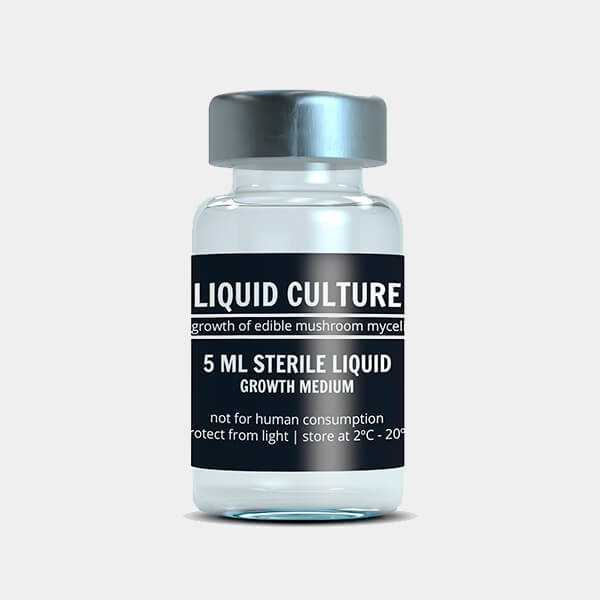 Líquido de Cultivo de Micelio