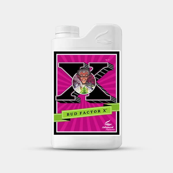 Bud Advanced Nutrients X mais resina - Crescer Barato
