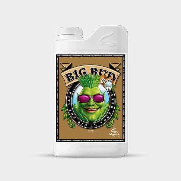 Big Bud per Cocco di Advanced Nutrients