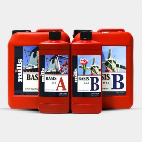 Basis A+B Basis A+B
