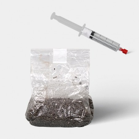 Microscopic Spore Study Kit (Bag Included) Microscopic Spore Study Kit (Bag Included)