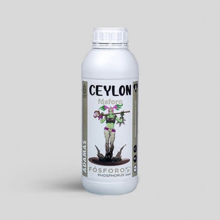 Ceylon ÁDamas Ceylon ÁDamas